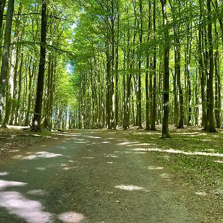 Daire Sommerwind - Helene Mit Meerblick In Lage *