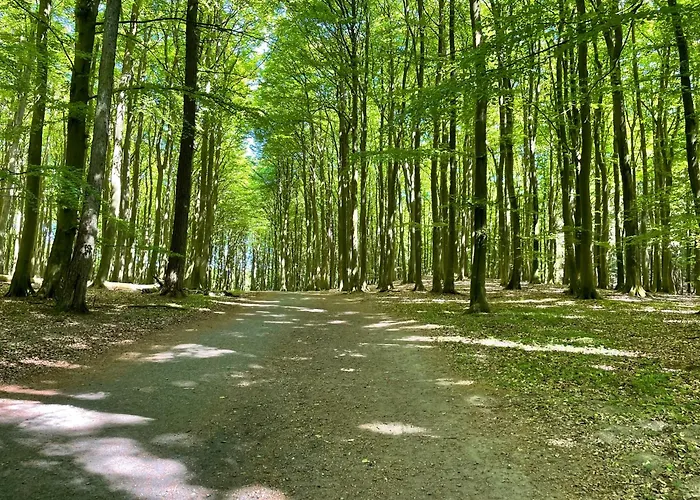 Appartement Sommerwind - Helene Mit Meerblick In Lage *